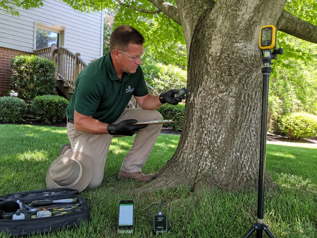 Tree Health Assessment